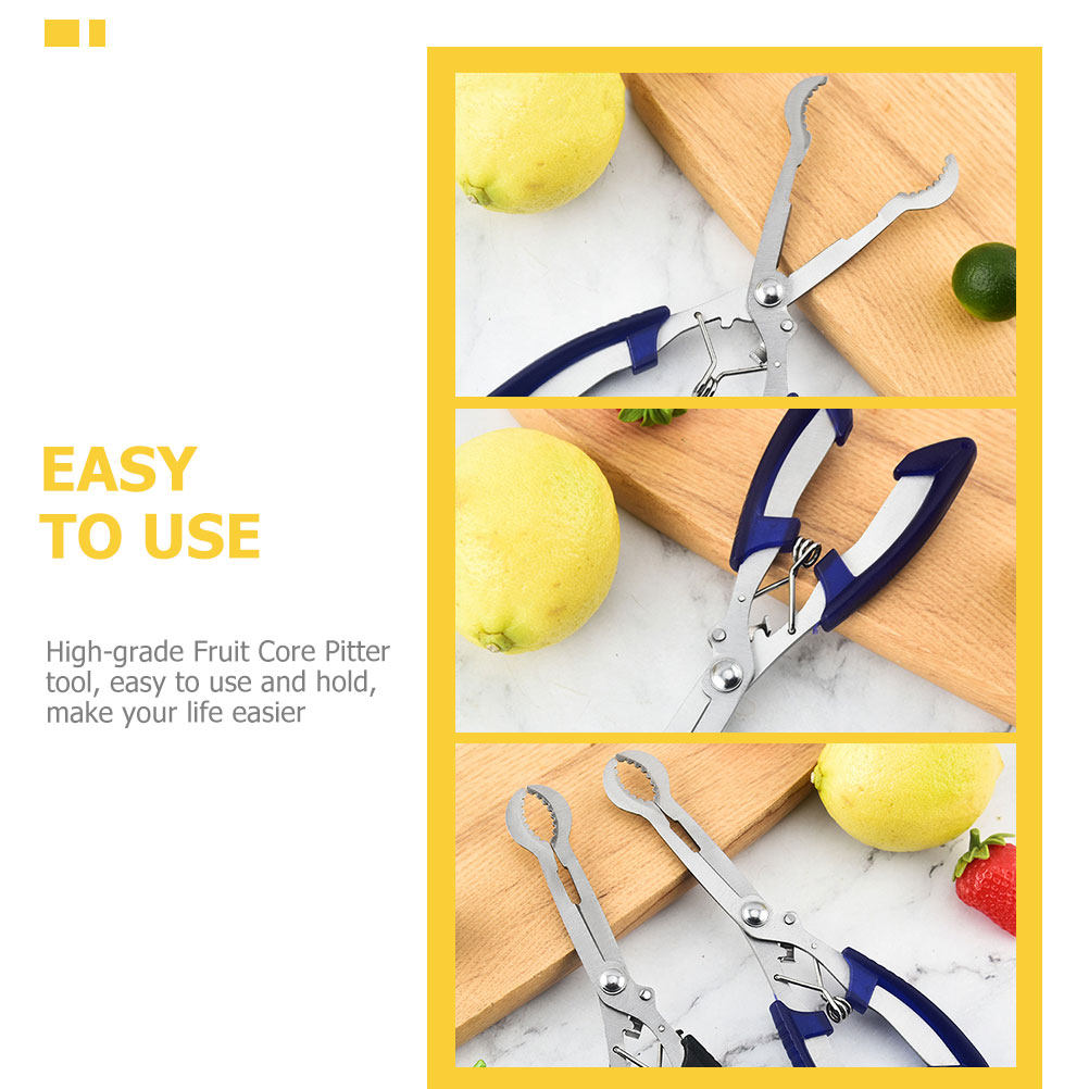 Alıç Çekirdeği Çıkarma Aleti T - Cherry Pitter Tool incelemesi ve fiyatı
